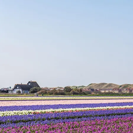 Luttikduin Nr 24 - Aan Zee Alpehytte Callantsoog